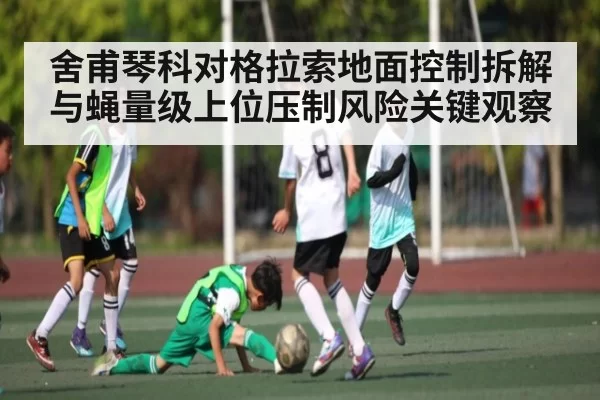 舍甫琴科对格拉索地面控制拆解与蝇量级上位压制风险关键观察